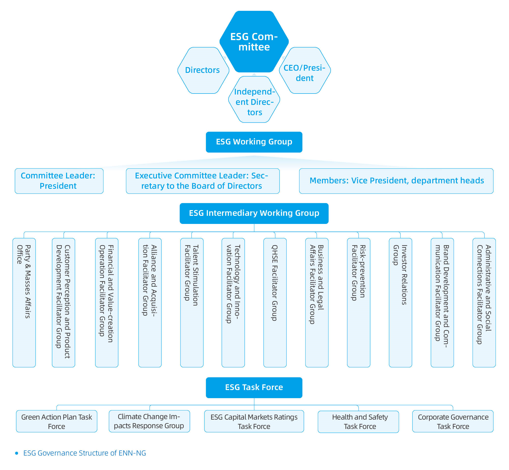 Governance Structure